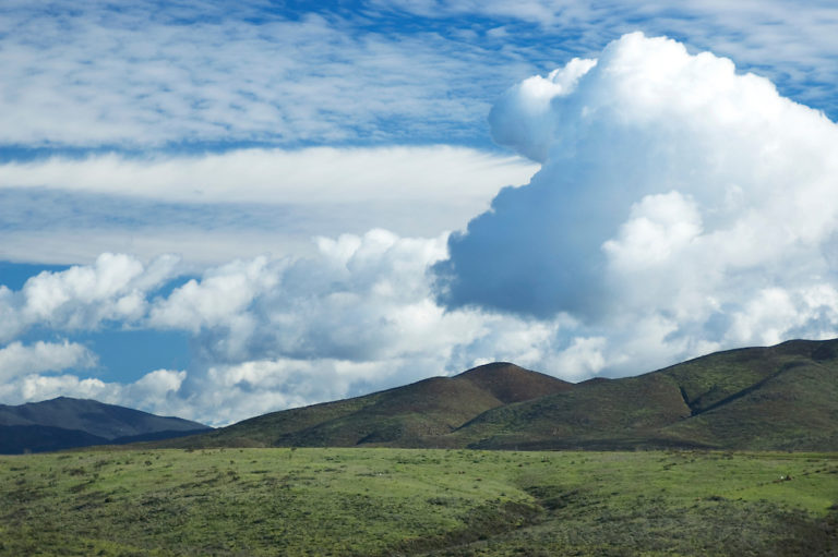Dramatic cumulus clouds over green fields, springtime, San Diego county.