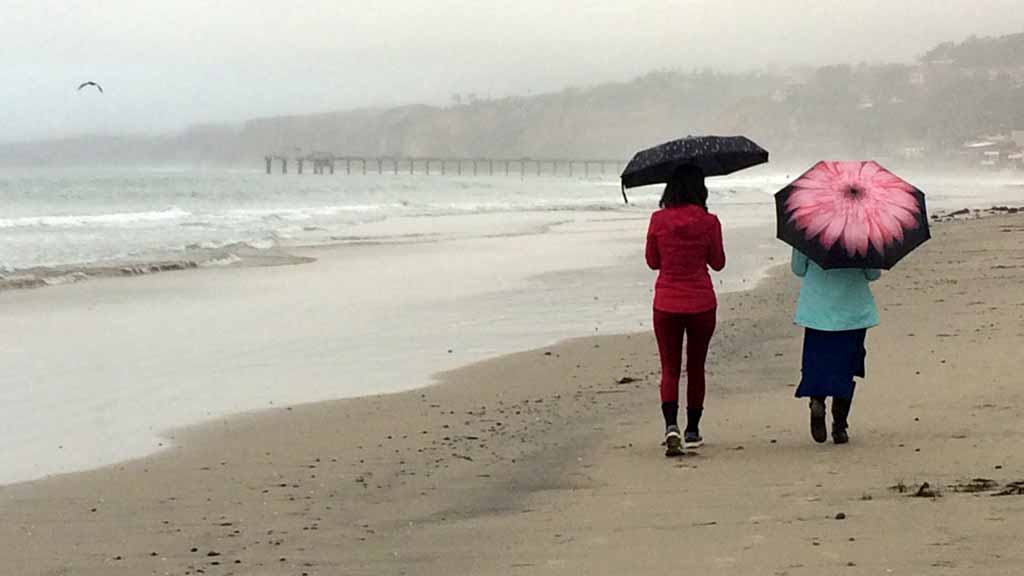 umbrellas-in-the-rain