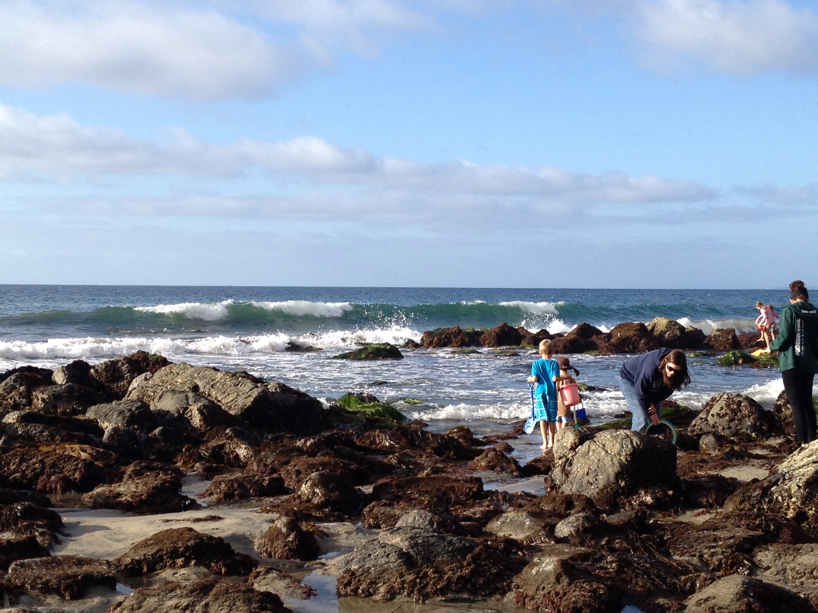 winter-sandiego-tidepools