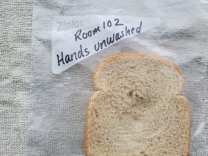 Day 3 - Room 102 - Unwashed Hands